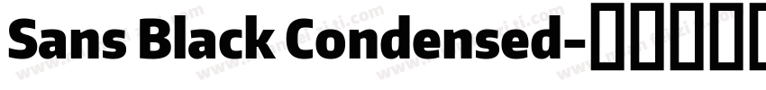 Sans Black Condensed字体转换